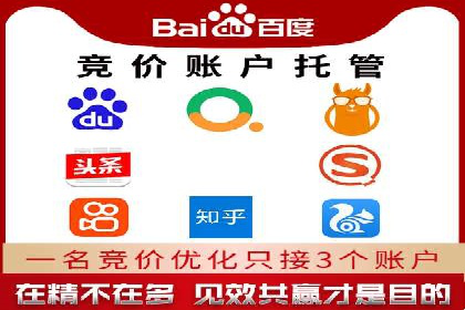 竞价推广策略：某电商平台的成功之路